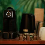 Rosalia's Menagerie Cocktail Bar & Innupstairs Hotel