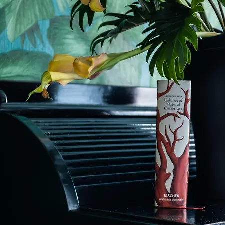 Rosalia's Menagerie Cocktail Bar & Innupstairs 호텔