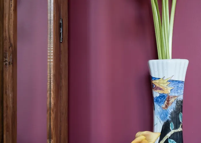 Rosalia's Menagerie Cocktail Bar & Innupstairs Hotel Amsterdam