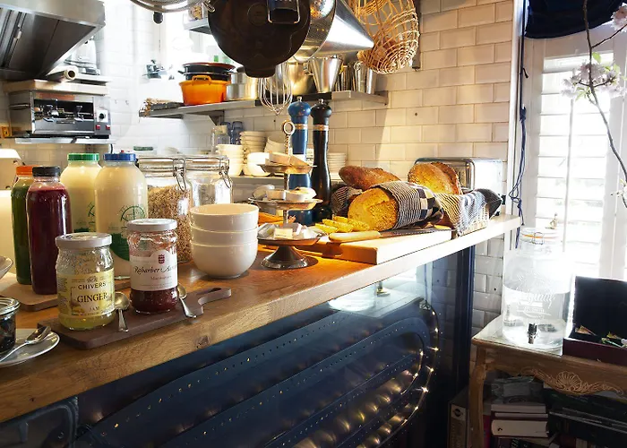 Hotel Rosalia's Menagerie Cocktail Bar & Innupstairs 3*